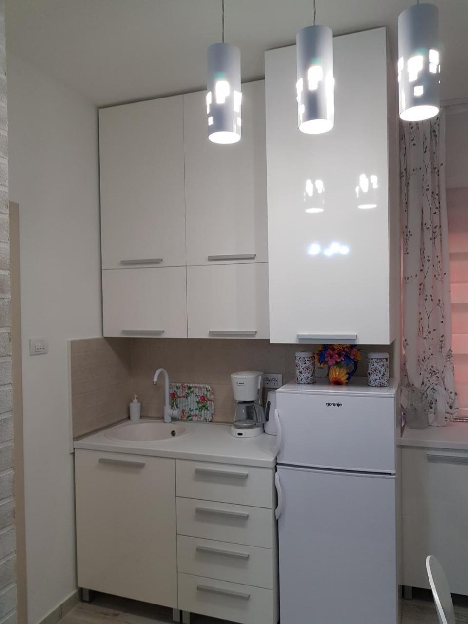 Apartman "Garden" Νόβι Σαντ Εξωτερικό φωτογραφία